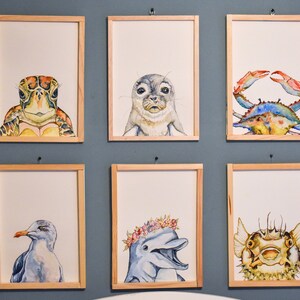 May include: A set of 8 framed watercolor paintings featuring various sea creatures. The paintings include a sea turtle, a seal, a crab, a seagull, a dolphin, and a fish.