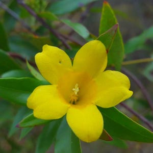 Könnte beinhalten: Ein Set aus drei Keramikbechern mit gesprenkelter, matter Oberfläche. Die Becher sind in den Farbtönen Creme, Hellgrau und Dunkelgrau gehalten. Jeder Becher hat ein schlichtes, minimalistisches Design und einen abgerundeten Griff.