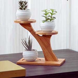 Puede incluir: Un soporte para plantas de bambú de tres niveles con tres macetas de cerámica blancas, cada una con una suculenta diferente. El soporte tiene un acabado de madera natural y un diseño curvo. Las macetas son redondas y texturizadas.