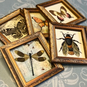 Marco de arte con imagen de casa de muñecas en miniatura, hermoso tema de insectos, mariposa, abeja, libélula, polilla