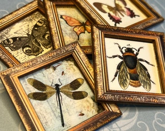 Miniature Dollhouse Picture Art Frame Beautiful Bugs Theme 1:12 Butterfly Bee Dragonfly Moth