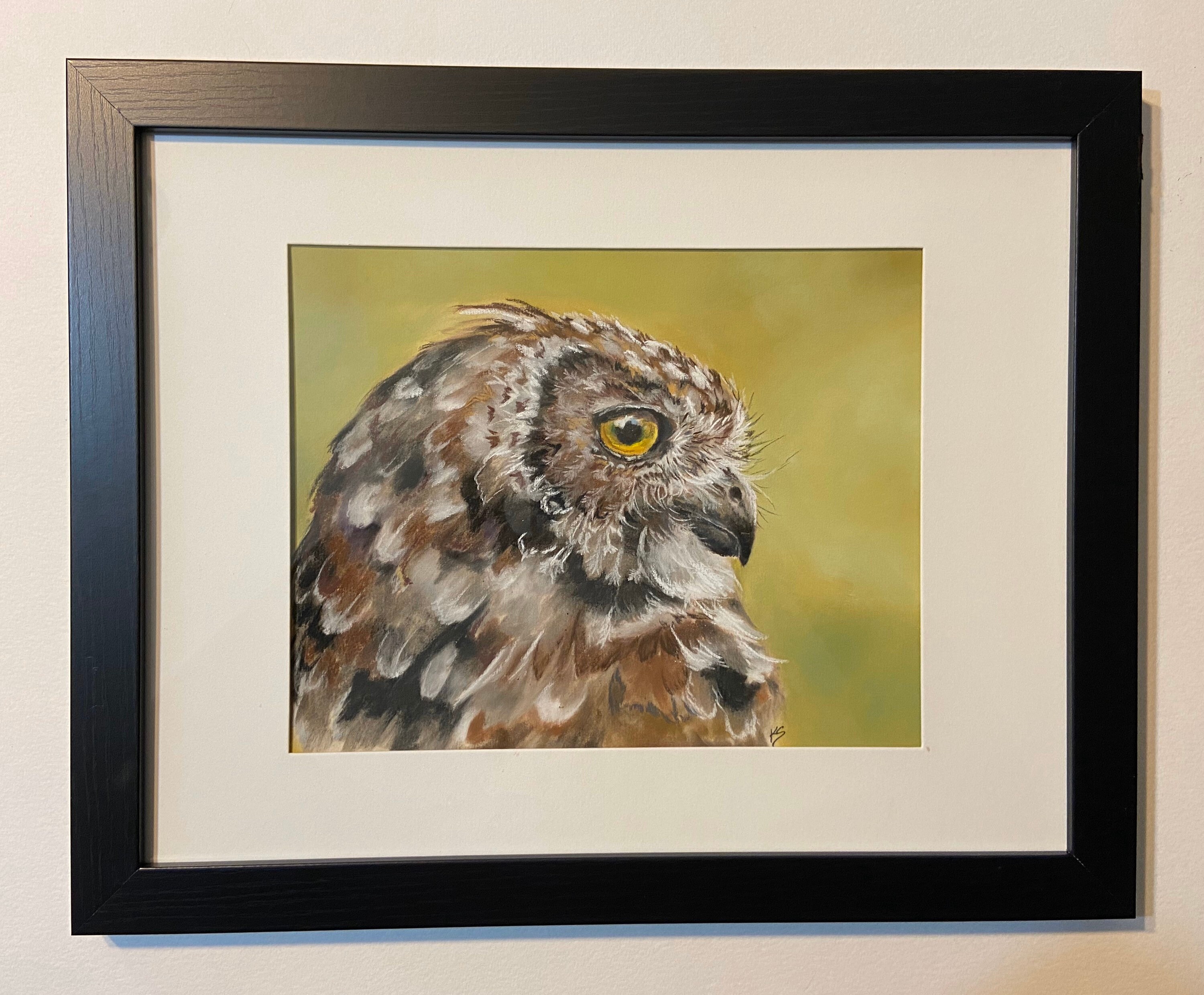 Original Pastel Painting of Owl Free Priority Shipping in the US