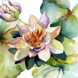 Acqua Lily Fine Art Acquerello 8x10 Stampa Contorta Archival