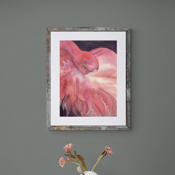 Flamingo Flare 5x7 Matted Print Fine Art Reproduction Fits 8x10 Frame