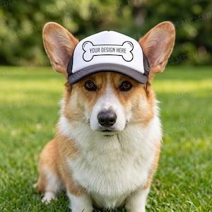 May include: A corgi dog wearing a white and black trucker hat with the text "YOUR DESIGN HERE" and a bone graphic. The dog has brown and white fur and is sitting on green grass.