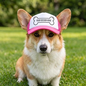 May include: A corgi dog wearing a white and pink trucker hat with the text "YOUR DESIGN HERE" and a bone graphic. The dog has brown and white fur and is sitting on green grass.