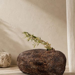 May include: A dark brown, textured, oval-shaped vase with a rough, stone-like surface and a small circular opening at the top. A single delicate green leafy branch is placed inside the opening of the vase, extending outward to the left side.