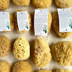 Sustainable Bath Sea Sponges - natural gentle body exfoliation for bath and body, sustainable, eco friendly, renewable materials, cut
