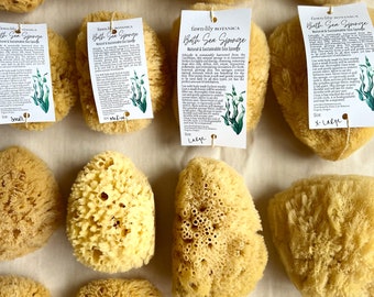 Sustainable Bath Sea Sponges - natural gentle body exfoliation for bath and body, sustainable, eco friendly, renewable materials