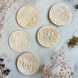Puede incluir: Cinco esponjas redondas de luffa natural de color blanco sobre un fondo de mármol blanco. Las esponjas de luffa están dispuestas en círculo con un pequeño ramo de flores secas en la esquina superior derecha de la imagen.