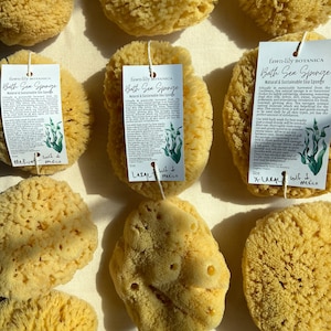 Sustainable Bath Sea Sponges {Gulf of Mexico} - natural exfoliation for bath and body, sustainable, eco friendly, renewable materials, cut