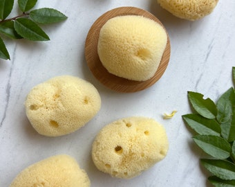 Silk Facial Sea Sponge - sustainably harvested silk sponge from the Philippines to cleanse and exfoliate skin for fresh, glowing skin