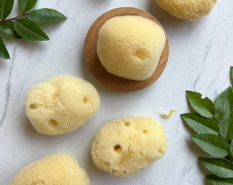 Silk Facial Sea Sponge - sustainably harvested silk sponge from the Philippines to cleanse and exfoliate skin for fresh, glowing skin