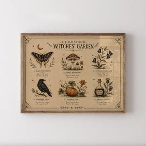 May include: A framed print titled A Field Guide to Witches' Garden featuring six illustrations: a black moon moth, a ghost mushroom, witch's bellflower, a midnight crow, a pumpkin vine, and a bottle labelled Dream Thistle on a beige background.