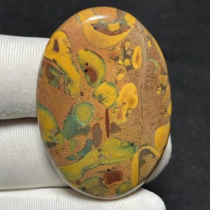 May include: An oval-shaped gemstone with a mottled pattern of yellow, brown, green, and red hues. The polished surface displays a mix of colors and textures, creating a unique and natural appearance. This gemstone could be used for jewelry or decorative purposes.