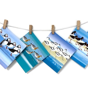 May include: Six greeting cards featuring different bird illustrations. Each card depicts a line of birds walking on a beach with blue water in the background. The birds include oystercatchers, puffins, and sandpipers.