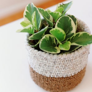 CROCHET PATTERN ⨯ Basket Crochet Pattern, Storage Basket Crochet Pattern ⨯ Easy Crochet Pattern, Beginner Crochet ⨯ Crochet Basket Pattern
