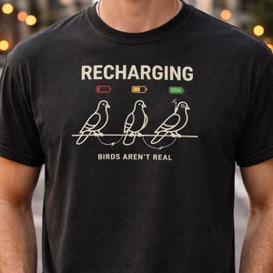 Camiseta "Los pájaros no son reales", camiseta divertida de teoría de la conspiración, camiseta de dron paloma recargable, meme de vigilancia gubernamental, regalo viral divertido imagen 2