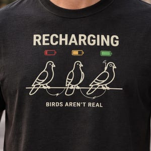 Camiseta "Los pájaros no son reales", camiseta divertida de teoría de la conspiración, camiseta de dron paloma recargable, meme de vigilancia gubernamental, regalo viral divertido imagen 1