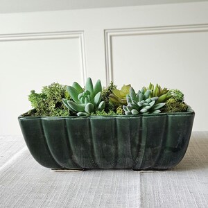 May include: A dark green rectangular planter filled with assorted succulents and green moss. The planter has a ribbed design and sits on a light-colored surface. The arrangement creates a natural, decorative accent.