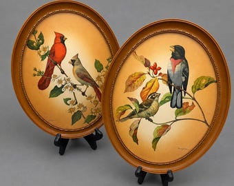 Pair Vintage Framed Oval Bird Prints Rudolf Freund 1960s Turner Mfg. Co. Chicago