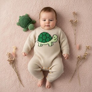 May include: A baby wearing a beige knit romper with a green turtle design. A matching green turtle plush toy is next to the baby on a pink surface. Dried flowers are arranged around the baby.