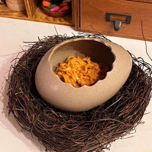 Pode incluir: Uma tigela bege em forma de ovo cheia de macarrão laranja, aninhada em um ninho marrom tecido. A tigela tem uma superfície texturizada e uma forma orgânica única. O ninho é feito de galhos finos e entrelaçados.