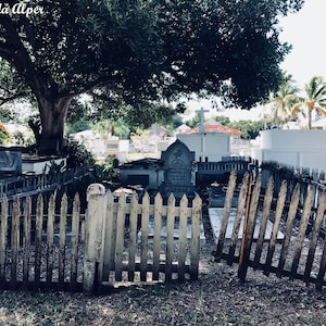 Cemetery Fence in Key West