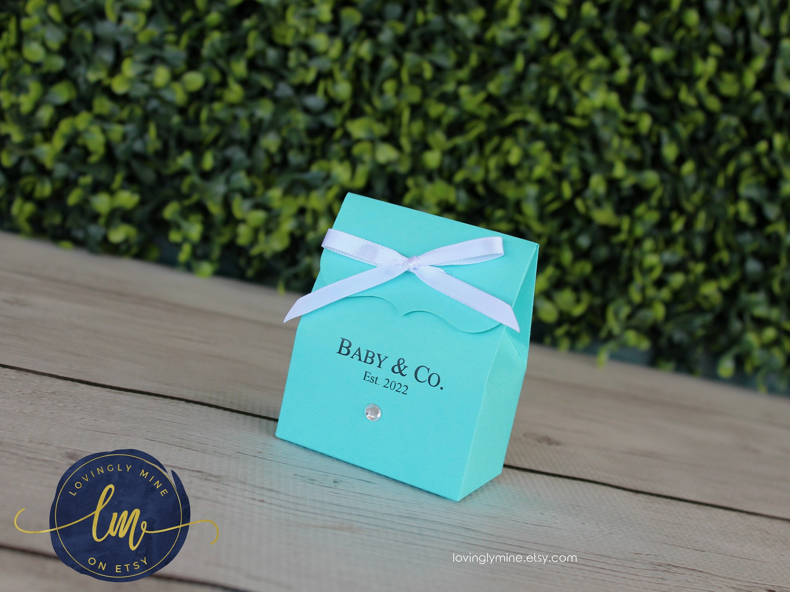 Light Teal Aqua Custom Favor Bags | Custom Printing,  Assembly Required, Baby & Co Bride Bridal Shower