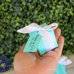 May include: A small turquoise blue gift box with a white satin ribbon and bow. The box has a tag attached that says "Baby & Co. Est. 2023."