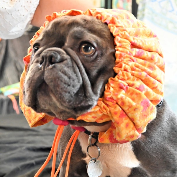 Mrs. Tyrrell's Dog bath cap, dog snood, Orange Sherbert posey fabric for MEDIUM to LARGE sized dogs, long eared dogs, fully adjustable.