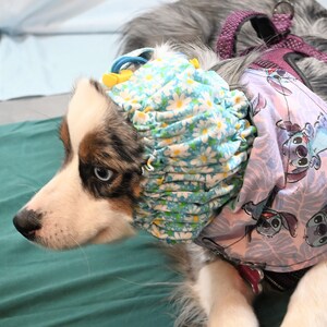 Mrs. Tyrrell&#39;s Dog food snood in blue and white daisy flowers for SMALL to MEDIUM sized dog heads, for dogs with short ears.