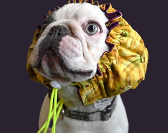 Small to Medium, Water-resistant Dog Bath Cap in Bananas, dog snood, grooming cap.