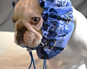 SMALL/MEDIUM Water-resistant dog bath cap in Blue Hawaiian Turtle, dog grooming tool, puppy grooming, dog ear protection.