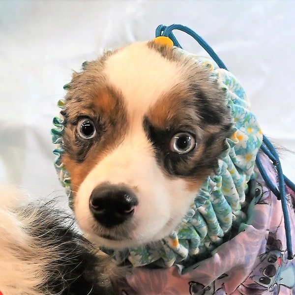 Mrs. Tyrrell's Dog bath cap SMALL, dog snood, Blue and white daisy flowers for SMALL to MEDIUM sized dog heads, for dogs with short ears.