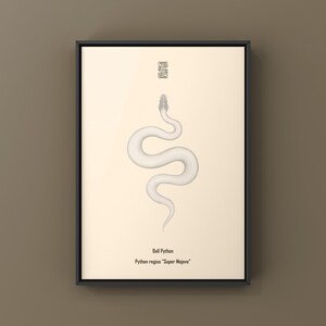 Super Mojave Ball Python Python regius art print by The Morph Archive, leucistic snake artwork by Mingo X.