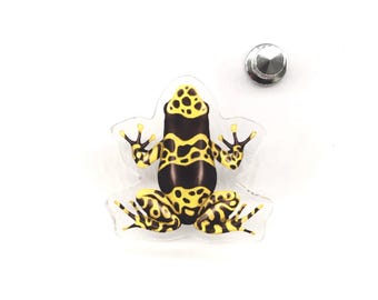Gelb gebänderter Pfeilgiftfrosch Acryl Pin, Dendrobates leucomelas 1,5 Zoll klarer Acrylpin