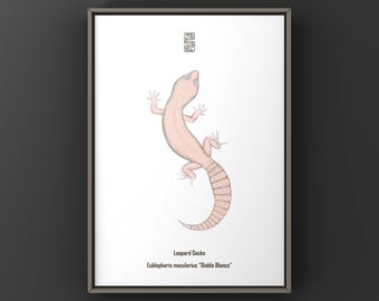 Diablo Blanco Leopard Gecko Art Print, Biological Illustration, Snake Wall Decor