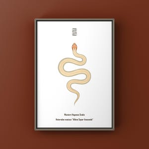 May include: A framed art print featuring a minimalist illustration of a pale cream-coloured Western Hognose snake with a light orange head. The text reads Western Hognose Snake and Heterodon nasicus Albino Super Anaconda with a small square logo.
