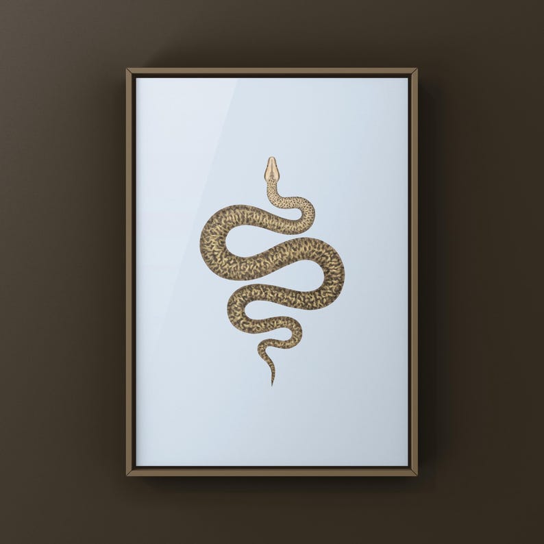 Granite Burmese Python Python bivittatus art print by The Morph Archive, python illustration by Mingo X.