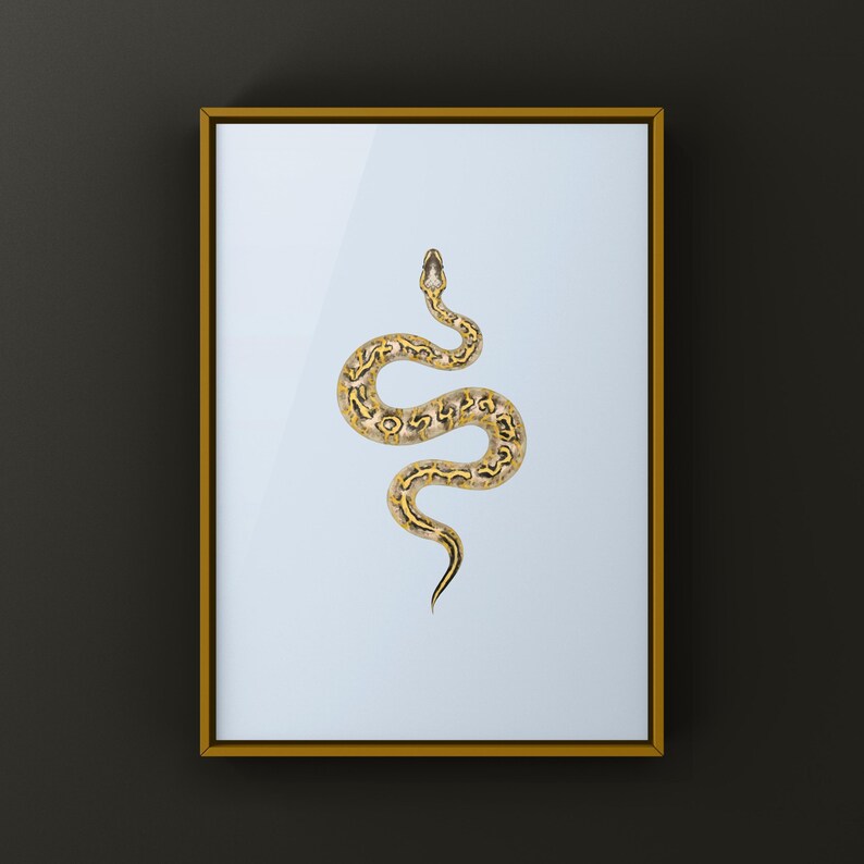 Pastel Freeway Gravel Ball Python Python regius art print by The Morph Archive, multi-gene snake artwork by Mingo X.