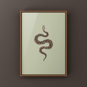 Kraken Ball Python Python regius art print by The Morph Archive, detailed morph python artwork.