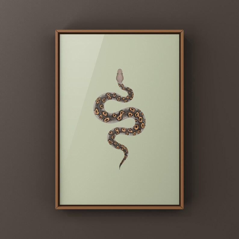 Kraken Ball Python Python regius art print by The Morph Archive, detailed morph python artwork.