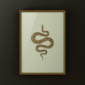 Burmese Python Python bivittatus art print by The Morph Archive, large snake artwork by Mingo X.