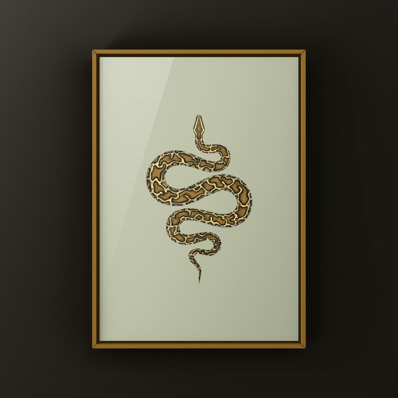 Burmese Python Python bivittatus art print by The Morph Archive, large snake artwork by Mingo X.