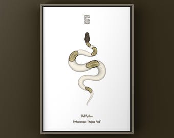Impresión artística de pitón bola de Mojave, ilustración biológica, decoración de pared con serpientes