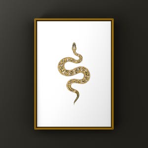 Pastel Freeway Gravel Ball Python Python regius art print by The Morph Archive, multi-gene snake artwork by Mingo X.