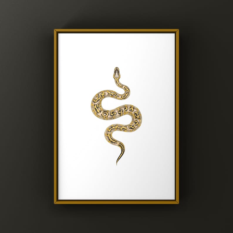Pastel Freeway Gravel Ball Python Python regius art print by The Morph Archive, multi-gene snake artwork by Mingo X.