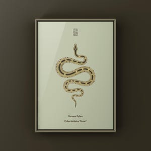 Green Burmese Python Python bivittatus art print by The Morph Archive, green snake artwork by Mingo X.