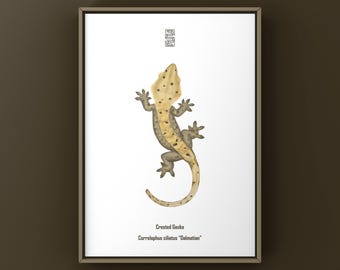 Lámina artística de gecko crestado dálmata, ilustración biológica, decoración de pared con serpientes